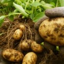 아이사랑,아이나라,새싹어린이집 이미지