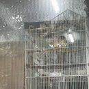 와이지세차장
