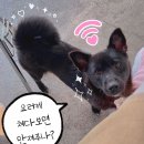 리태 Daum카페