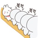알로하베베 네이버블로그