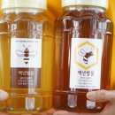 이마트24 고령우륵점 이미지