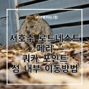 ibk기업은행 앞 교통섬 | [호주 퍼스] 아이와 로트네스트섬 페리 후기, 쿼카 보기 팁, 섬 내부 이동방법 추천
