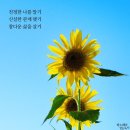 🌳 더불어숲작은도서관 8월 일정 🌳(7.29) 이미지
