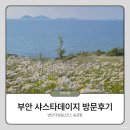 부안청보리 한우농장 | 부안 변산마실길 샤스타데이지 주말방문 │ 바다뷰 산책코스 추천