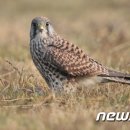 경남야생동물센터 이미지