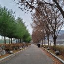 한탄강 유원지4 이미지