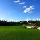 FLC QUV NHON GOLF LINKS [베트남 퀘논] 이미지