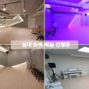 성신여대연습실 로제이