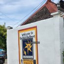 쿠오 | (세부 여행) 모알보알 쿠오 바디스 다이브 리조트 1박 후기 (가성비 숙소 추천)