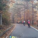 장유3942MTB팀 동해안(영덕-울진은어다리),금강송길,불영계곡 자전거타기 여행(23.10.26-10.27) 2 이미지