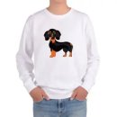 허쉬퍼피 이미지