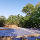 남악사지 이미지