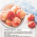 천연여왕