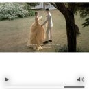 율지18로 | W34. 본식 전 최종점검 / 결혼준비과정 총 타임라인