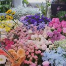 미소화원 이미지