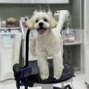 안곡로159번길 이미지