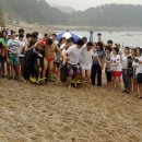 태안바다 이미지