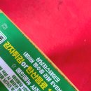 상남자스테이크 | 속초 스테이크 파스타 청초호 엑스포 맛집, 상남자스테이크 (솔직후기, 주차, 웨이팅)