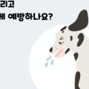 풍산동물병원 이미지