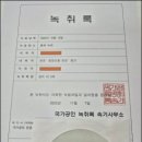 속기사무소 든든