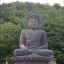 경순목장 Daum카페