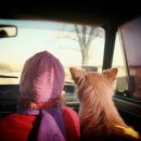 더페이지834 이미지