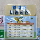 성주숲속작은집민박 | 🍐성주과일어린이과학체험관ㅣ경북 아기랑 실내 추천, 25개월 아기 방문 후기