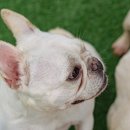 베이지동물병원 이미지