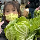 영창농장 이미지