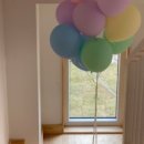 스테이다정 이미지