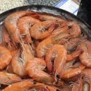 정일파크 이미지