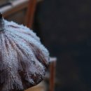 삼한농장 이미지