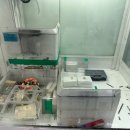 대박뽑기샵 이미지