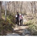 빨간돼지 이미지