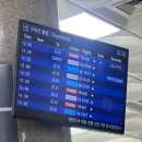 우진여행사 | 혼자서 제주도 2박 3일