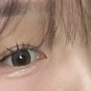 안경나라위드렌즈 이미지