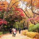 삼청공원 숲속도서관 이미지