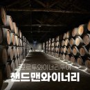 호스텔 루비 | 포르투 샌드맨 와이너리 투어 후기 | 신혼여행 와인 체험 가격 후기