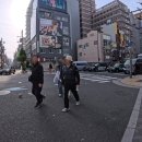 바시투어 이미지