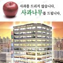 아인슈타인프라자 Daum카페