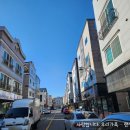 견공풀하우스 이미지