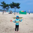 영복목장 | 속초 여행 설악밸리 베른 송지호 가진항