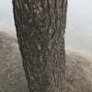 자우리호텔당진점 이미지