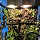 파충류샵 렙타일스테이션 이미지