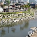 운교천 연합뉴스