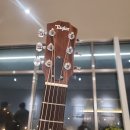 테일러 GS Mini 구매후기