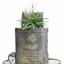 용전1로 이미지