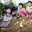 꽃초롱자연학습장 이미지