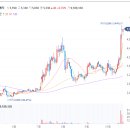 스카이메딕 이미지