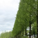 황등면-04 이미지